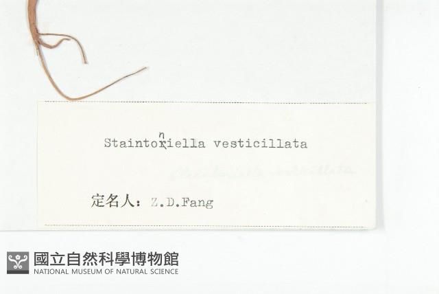 幹葉無隔芥藏品圖，第3張