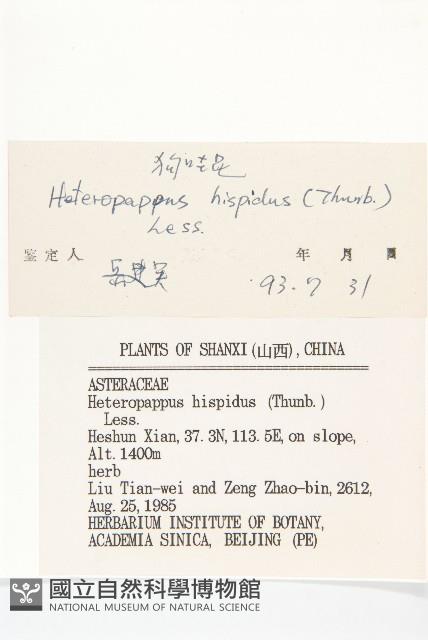 狗娃花藏品圖，第3張