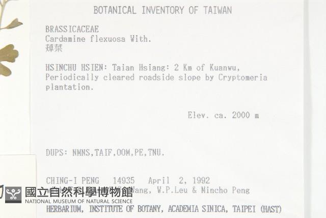焊菜藏品圖，第2張
