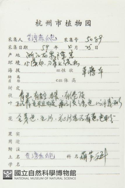 斑花青牛膽藏品圖，第2張