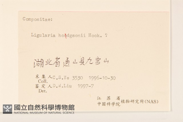 山菊藏品圖，第3張