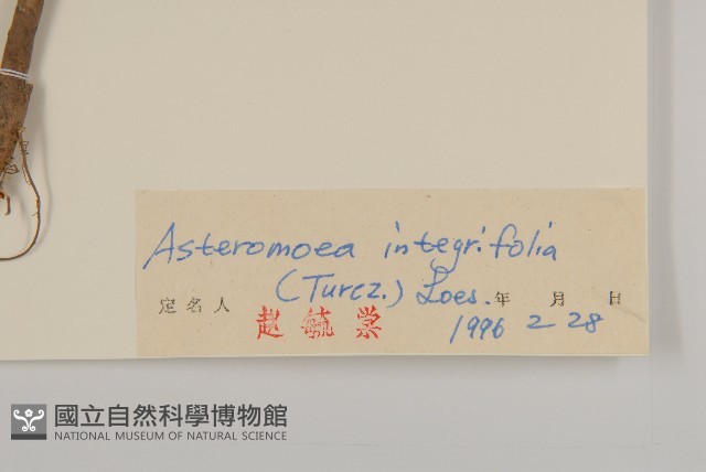 登錄號:S026890藏品圖，第3張