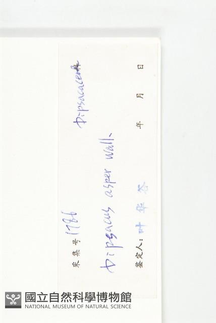 川續斷藏品圖，第3張