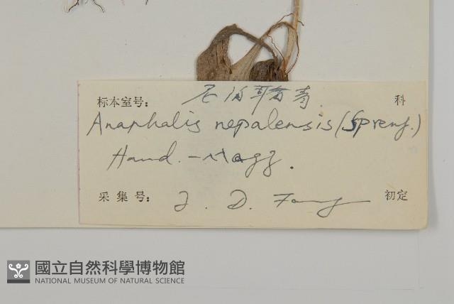 尼泊爾籟簫藏品圖，第3張