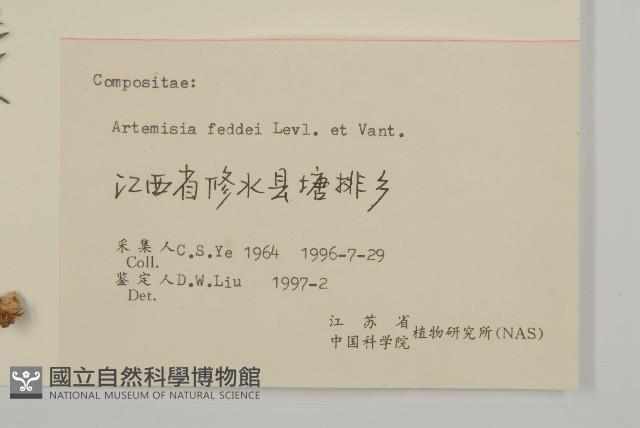 小艾藏品圖，第3張