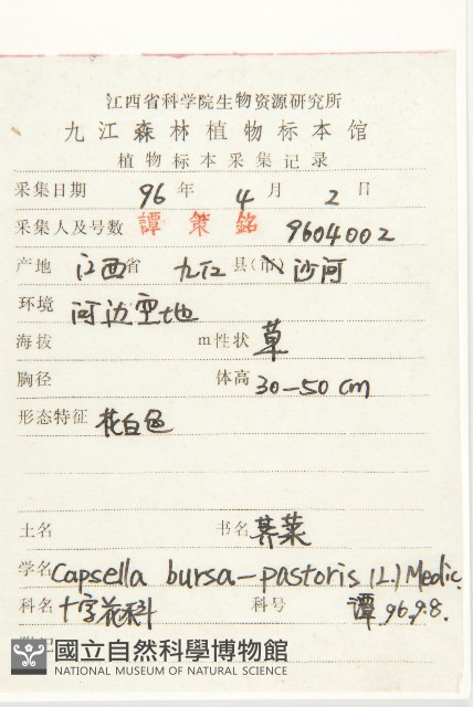 薺藏品圖，第2張