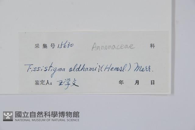 瓜馥木藏品圖，第2張