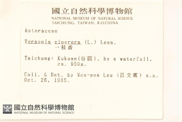 一枝香藏品圖，第2張