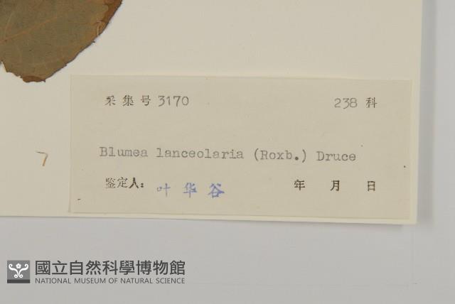 走馬胎藏品圖，第3張