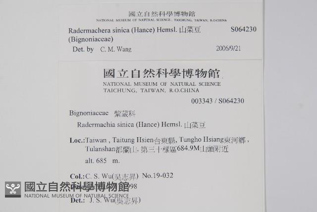 山菜豆藏品圖，第2張