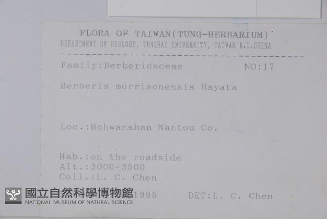 玉山小蘗藏品圖，第2張