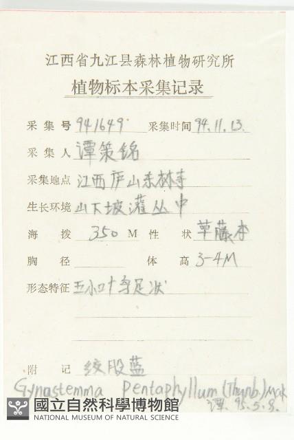 絞股藍藏品圖，第2張