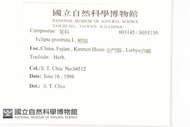 鱧腸藏品圖，第2張