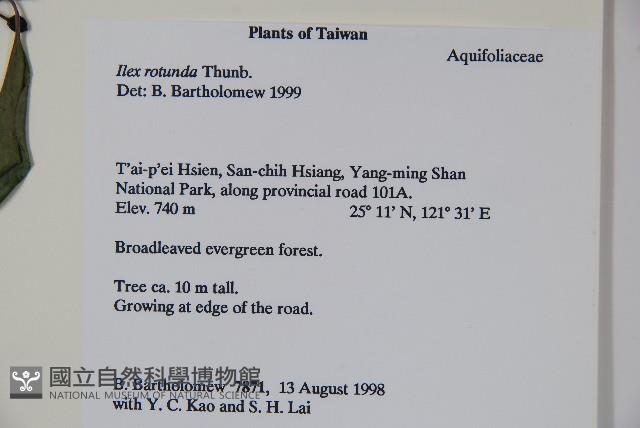 鐵冬青藏品圖，第2張