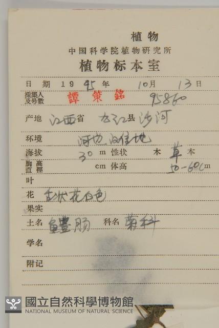 鱧腸藏品圖，第2張