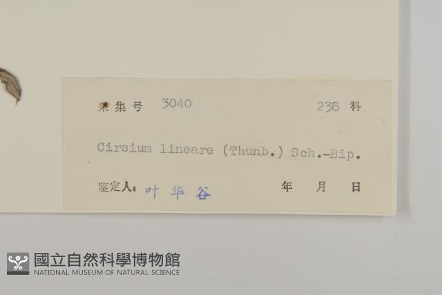 華薊藏品圖，第3張