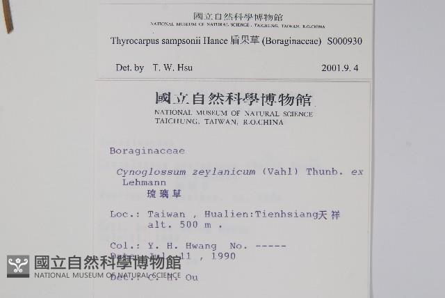 盾果草藏品圖，第2張