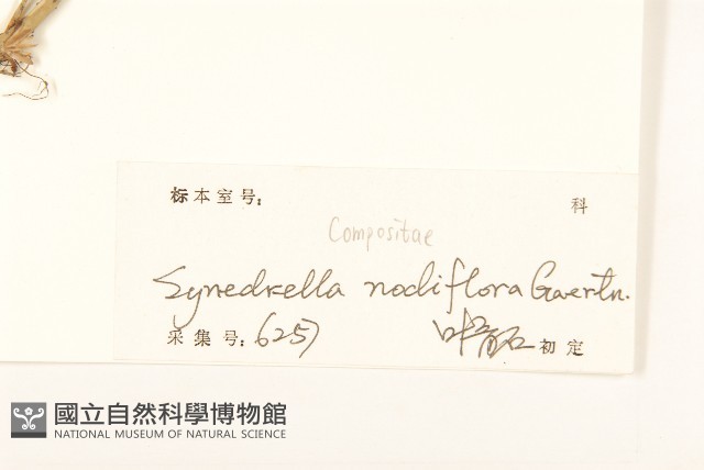 金腰箭藏品圖，第3張