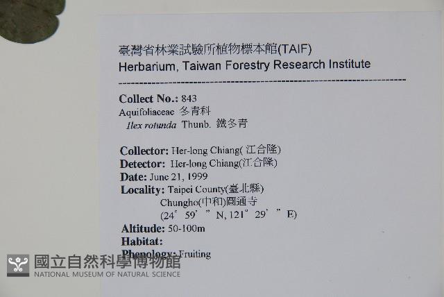 鐵冬青藏品圖，第2張