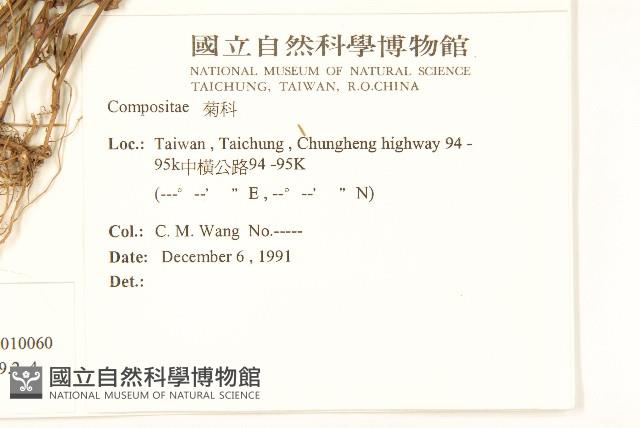 小蔓黃苑藏品圖，第2張