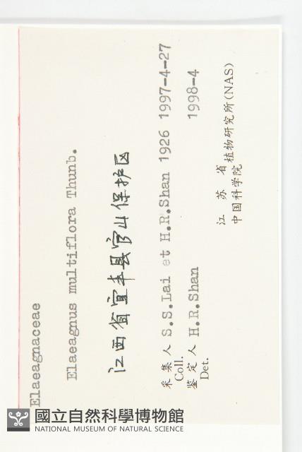 木半夏藏品圖，第3張