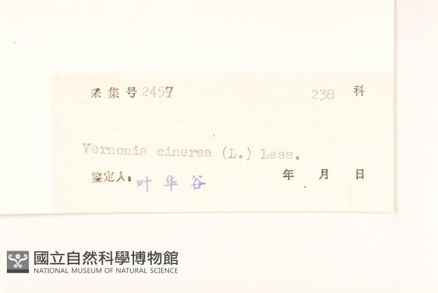 一枝香藏品圖，第3張