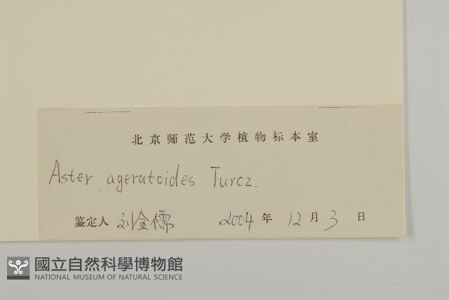 山白蘭藏品圖，第3張