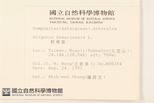 野塘蒿藏品圖，第2張