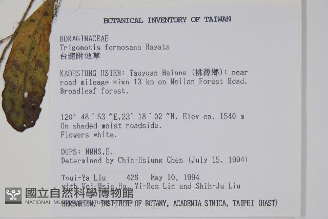 臺灣附地草藏品圖，第2張