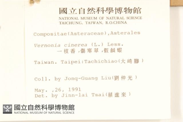 一枝香藏品圖，第2張