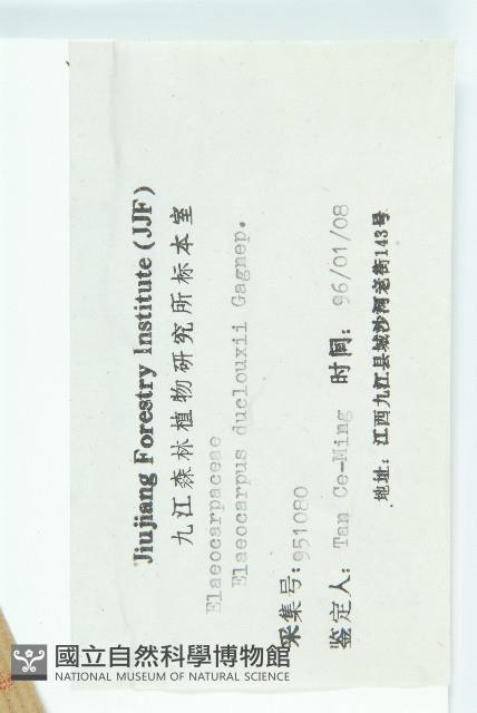 冬桃藏品圖，第3張