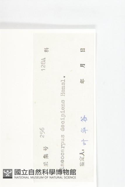 Accession Number:S040740 Collection Image, Figure 3, Total 3 Figures