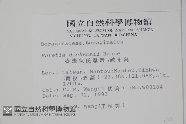 破布烏藏品圖，第2張