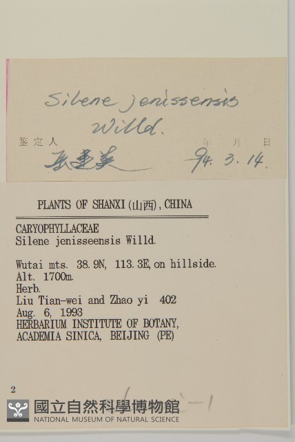 山螞蚱藏品圖，第3張
