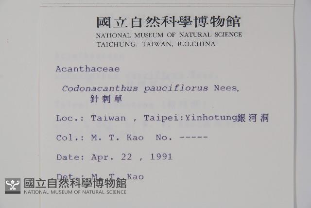 針刺草藏品圖，第2張