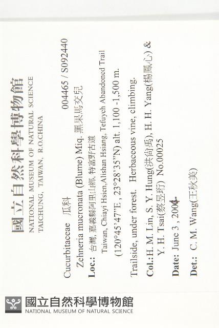 黑果馬交兒藏品圖，第2張