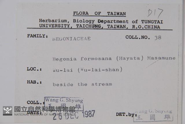 水鴨腳藏品圖，第2張