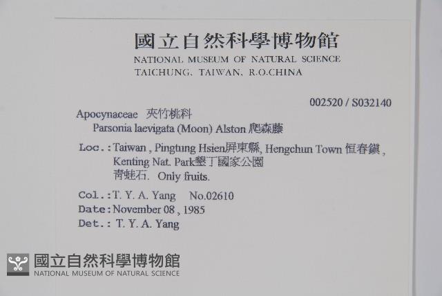 爬森藤藏品圖，第2張