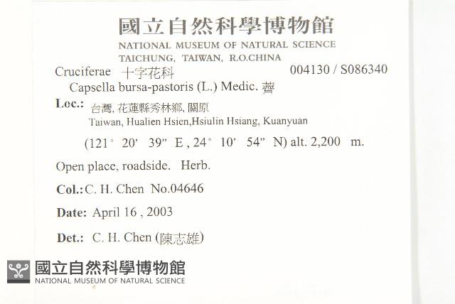 薺藏品圖，第2張