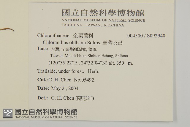 臺灣及己藏品圖，第2張
