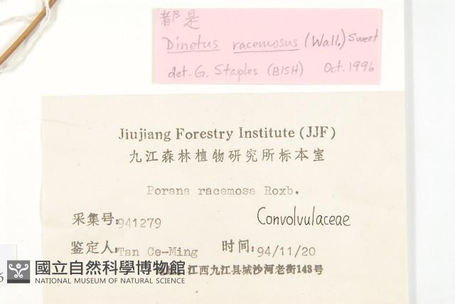 登錄號:S024940藏品圖，第3張