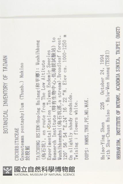 絞股藍藏品圖，第2張