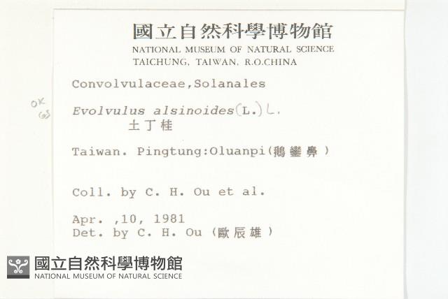 土丁桂藏品圖，第2張