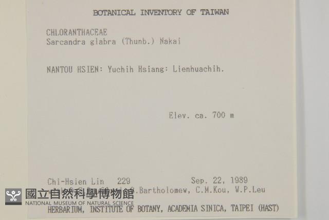 草珊瑚、紅果金粟蘭藏品圖，第2張