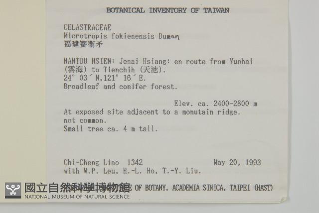 福建賽衛矛、福建假衛矛藏品圖，第2張