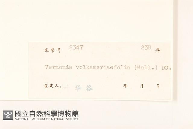 Accession Number:S040770 Collection Image, Figure 3, Total 3 Figures