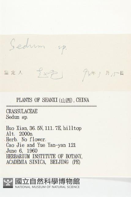 登錄號:S035770藏品圖，第3張