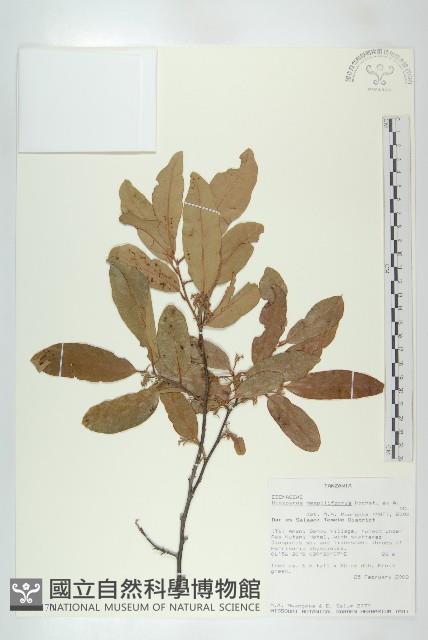 登錄號:S096470藏品圖，第3張