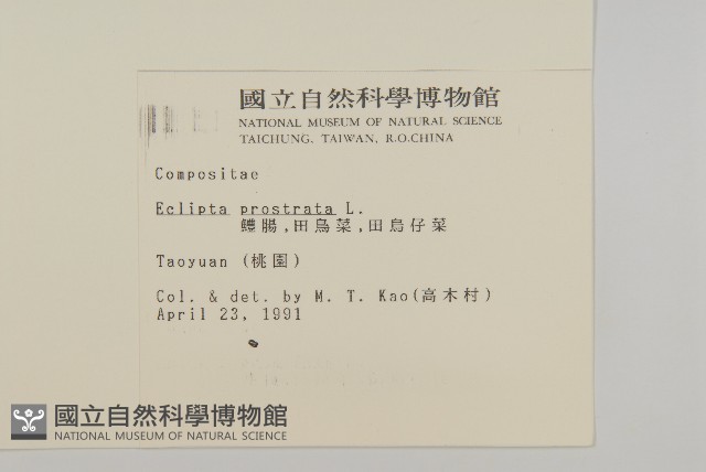 鱧腸藏品圖，第2張