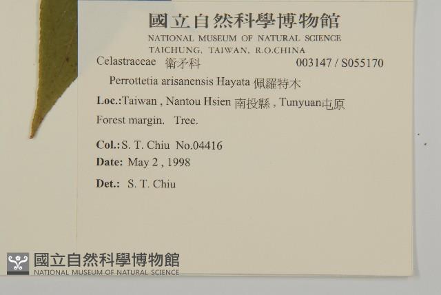 佩羅特木藏品圖，第2張